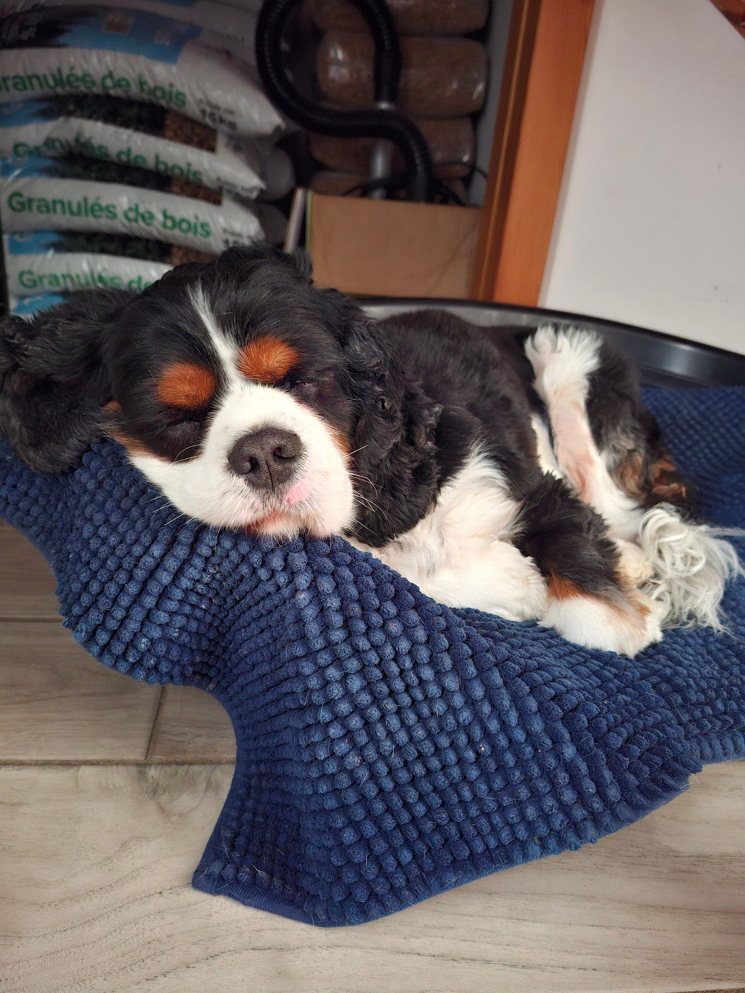 des brumes de Garonne - OXO